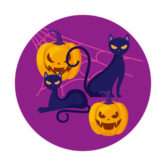 Fototapeta premium pumpkins with cats in halloween scene