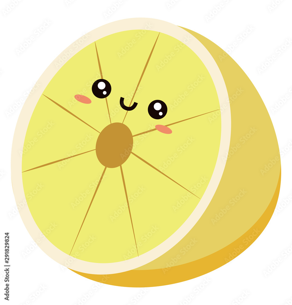 Wall mural half lemon, illustration, vector on white background.