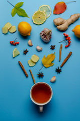Herbal medicine. Alternative healthy care on blue background. Top view. Copy space. Flat lay