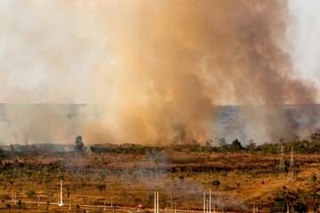 Fototapeta premium Wild Fires Burning out of control in the City Limits of the North Side of Brasilia.