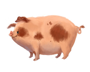 Painted funny spotted pig on a white background