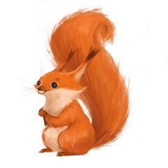 Little funny squirrel on a white background