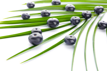 Fresh acai berries with tropical leaf on white background