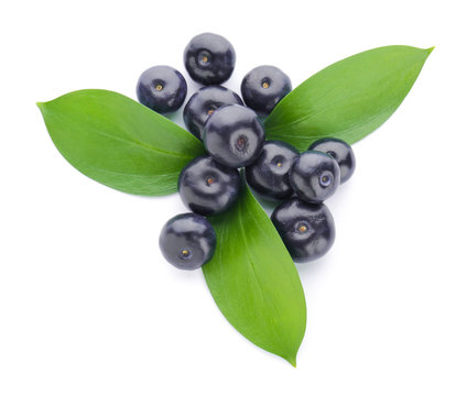 Fresh acai berries on white background