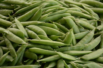 Fruits and Vegetables