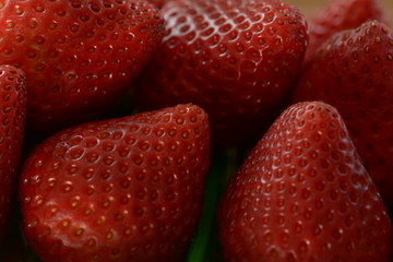 Fruits and Vegetables