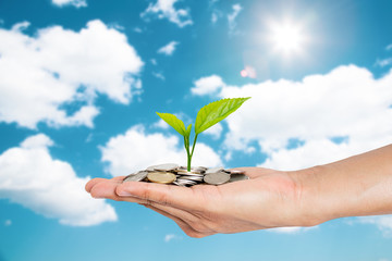 Hand holding money and plant growing in savings coins - Investment and interest concept with blue sky and copy space.