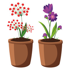 patch of houseplant in pot