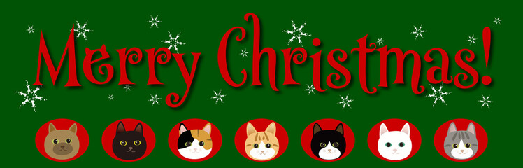 Fototapeta na wymiar 7匹の猫とクリスマス