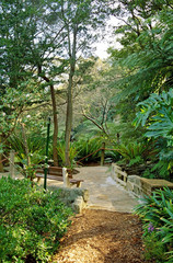 A bridge in the forest.
