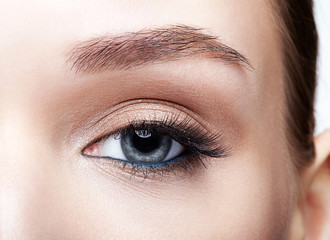 Fototapeta premium Closeup macro shot of blue human woman eye