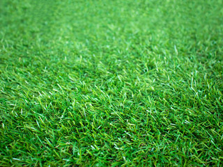artificial turf _2341