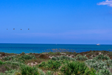 Obraz premium View of the Ocean