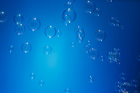 Rainbow soap bubbles colorful float on blue background