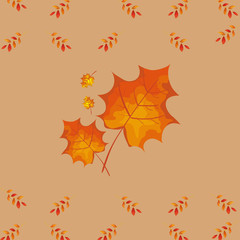 autumn leafs season pattern background