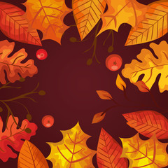background of leafs and fruits autumn
