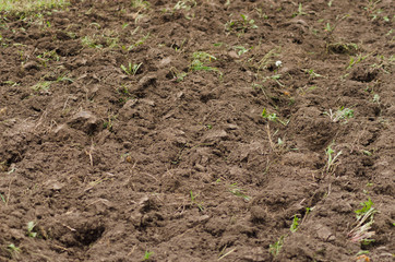 plowed field closeup, ground and agriculture