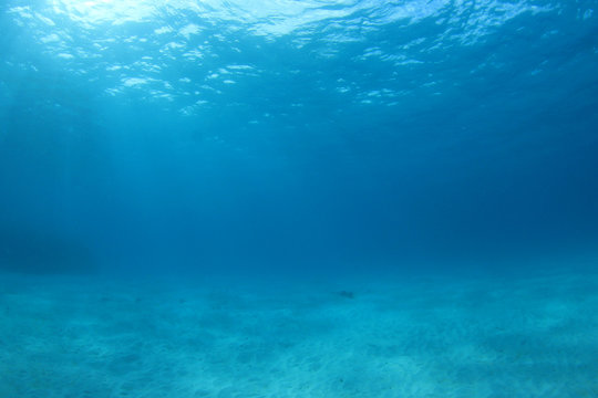 Blue underwater background photo of sea and sand	