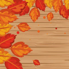 background wooden with autumn leafs