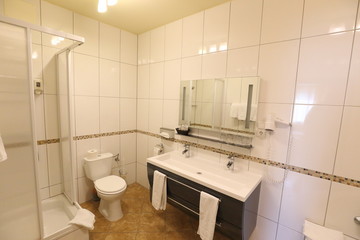 White tiled bathroom with shower corner and toilet