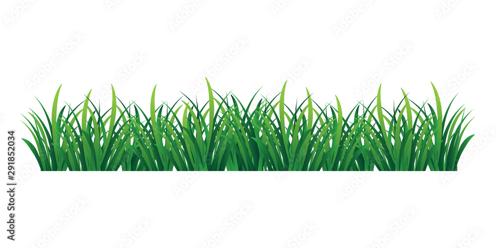 Poster grass vector isolated on transparent background