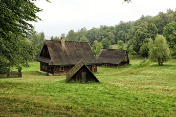 Fototapeta na wymiar Wooden cottages on grassy hill by the forest