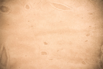 brown empty old vintage paper background