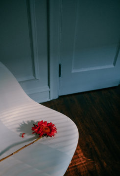 a red daisy on top of a white chair in the kitchen with a ray of light