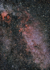 Cygnus Constellation
