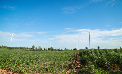 Nature sky in winter season 