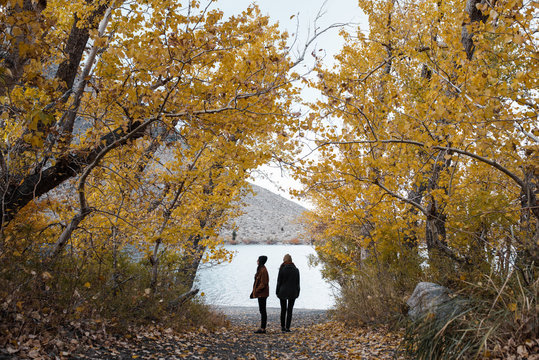 A mysterious young couple framed by autumn trees