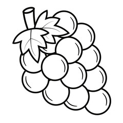 Bunch of grapes vector illustration in black and white.