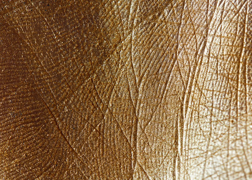 Handbreadth with a pattern of lines painted with golden powder. Macro photo