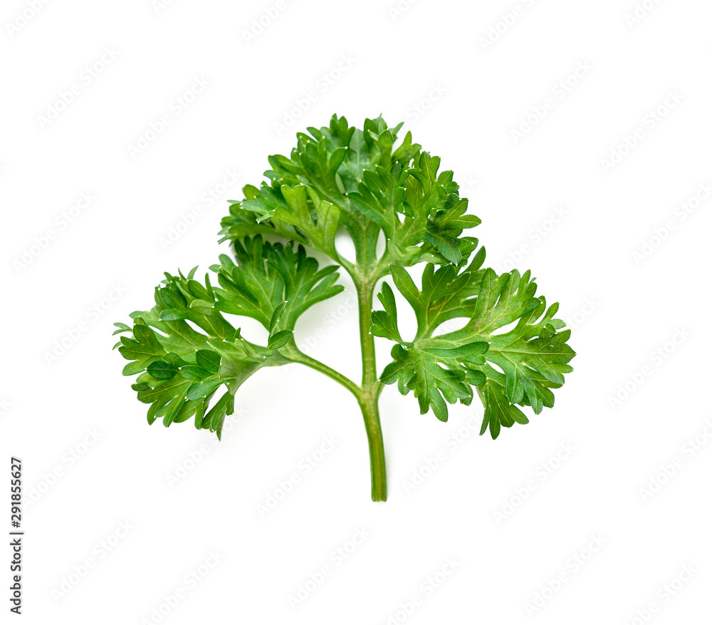 Sticker parsley isolated on a white background