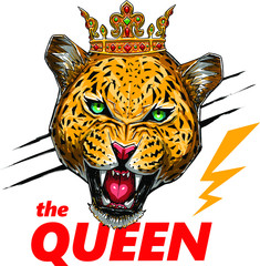 leopard illustration graphic design resource © hayr pictures