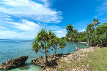 Tropical beach clear view of water, palm, rock, beautiful blue sky