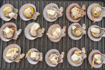 Grilling fresh scallops on electric stove at home