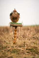 Hunting With Hawks Hungary 