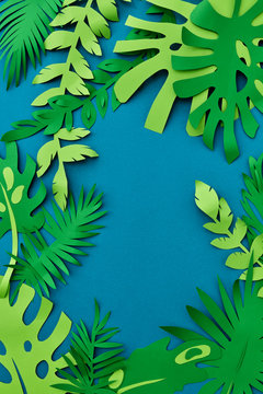 Exotic tropical evergreen leaf paper frame, creative pttern appl