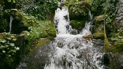 waterfall in forest