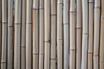 background texture of thin bamboo sticks lining up together.