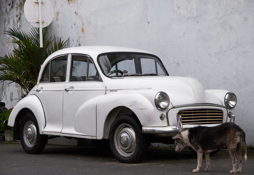 Fototapeta Beautiful vintage cars on the street, traveling in Sri Lanka