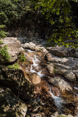 water flow down the cascading rocky creek on a sunny day surrounded by green plants