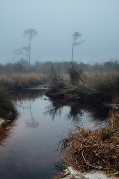 Dark Misty Landscape