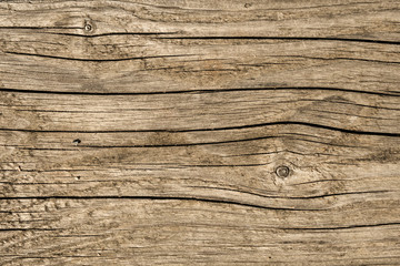 Fototapeta premium Old weathered wooden plank. Grunge design background.