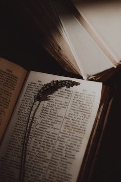 Old books