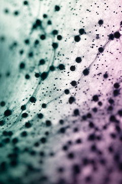 Abstract textures with slimes on white background