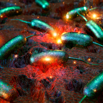 Bacteria attacking cell