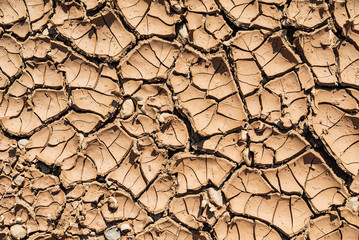 Detail Of Dry Ground On The Desert - Texture / Pattern