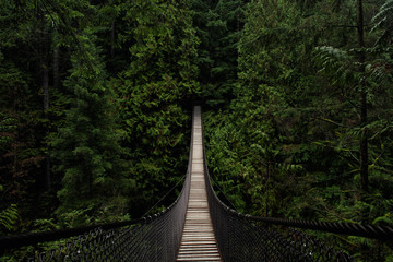 Wide Angle of Wooded Suspension Bridge